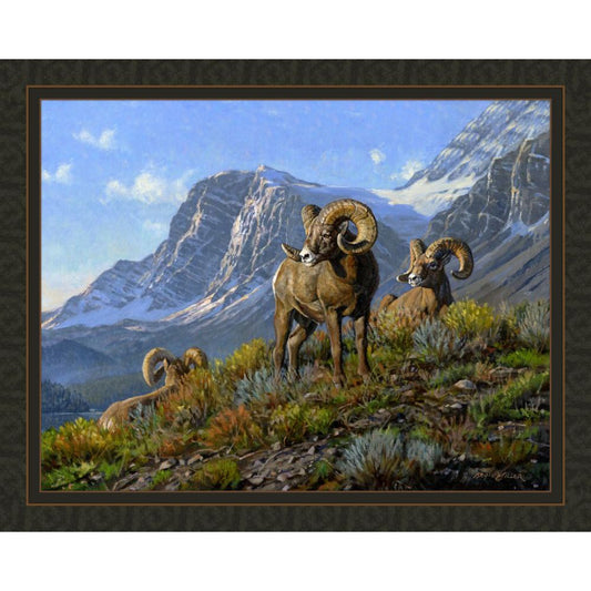 Rams Fabric Panel