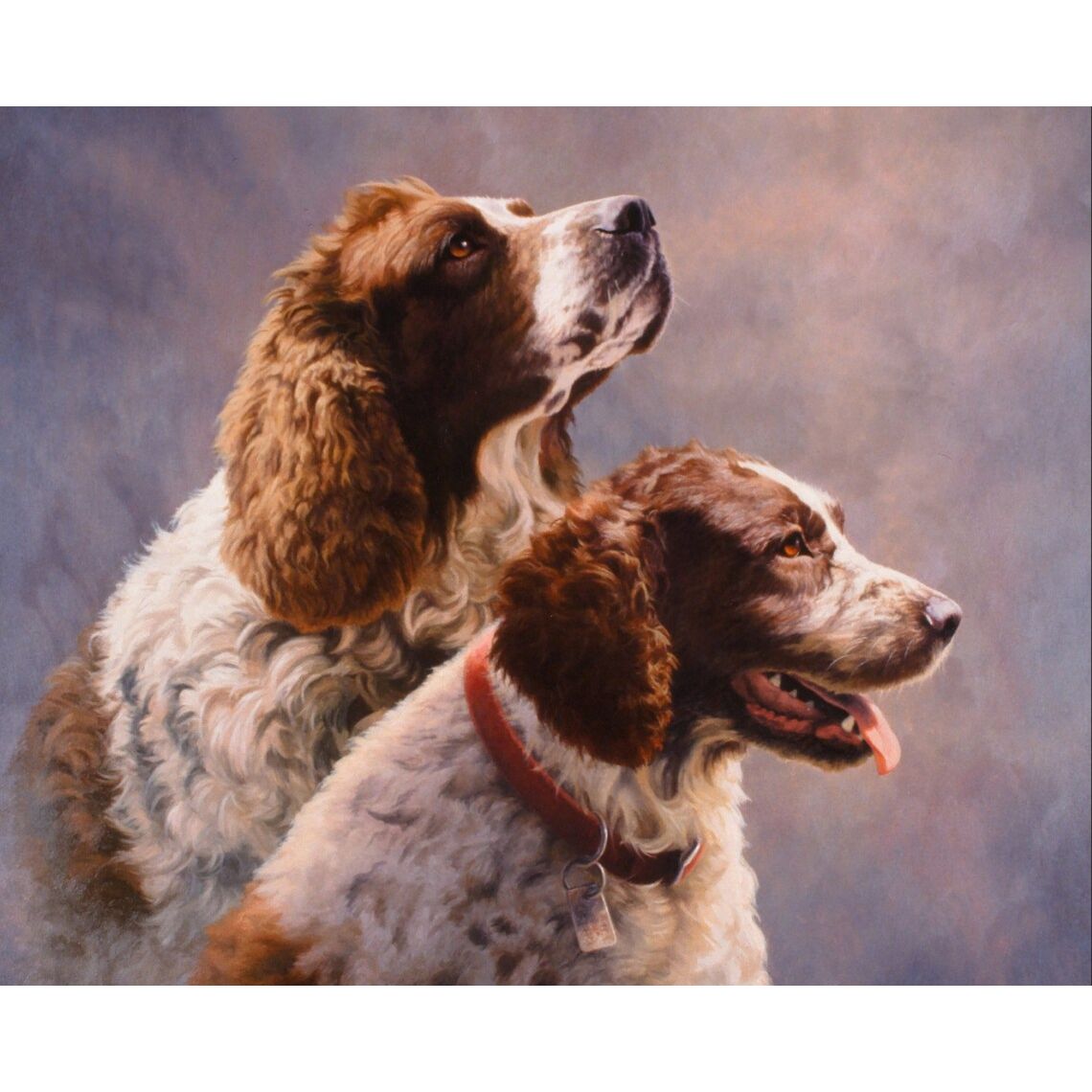 Springer Spaniels Fabric Panel