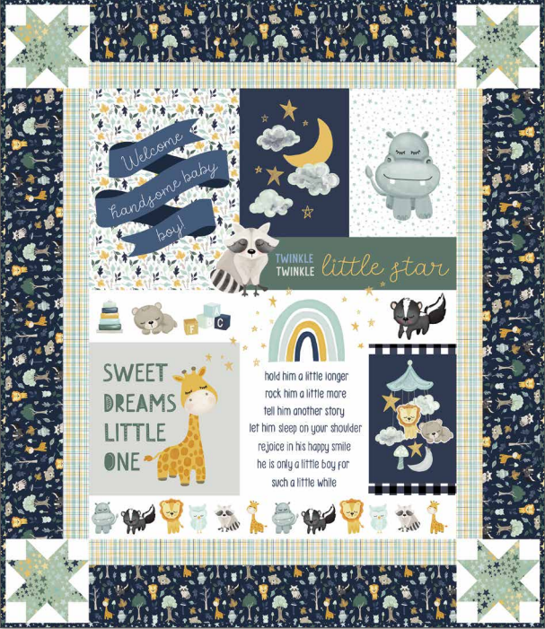 Free It's a Boy Quilt Pattern