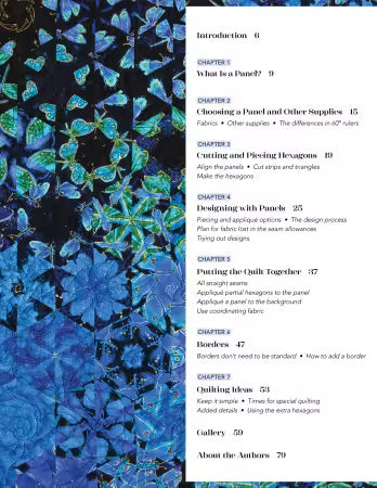 One-Block Wonder Panel Quilts Book