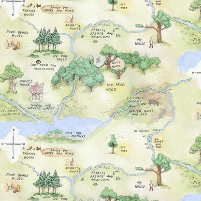 Classic Winnie the Pooh Map Light Green Fabric - By the yard