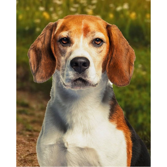 Beagle Fabric Panel