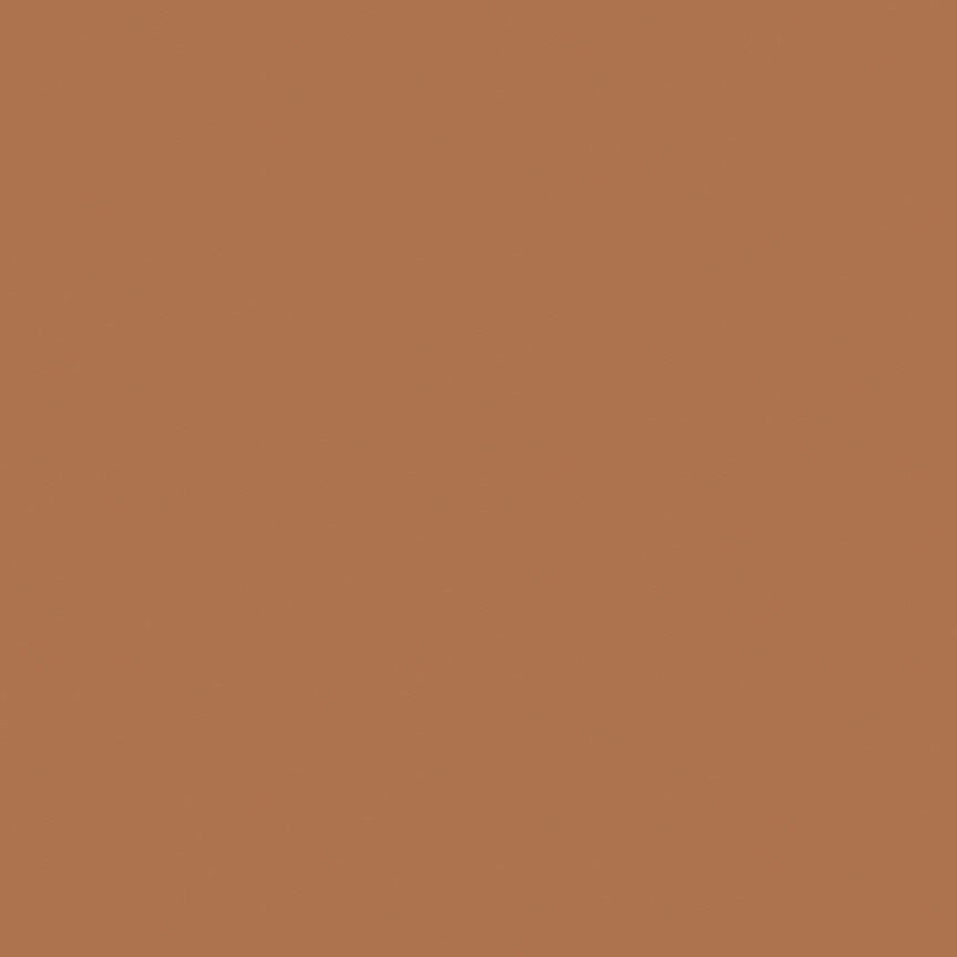 Riley Blake Confetti Cotton Cinnamon solid quilting fabric