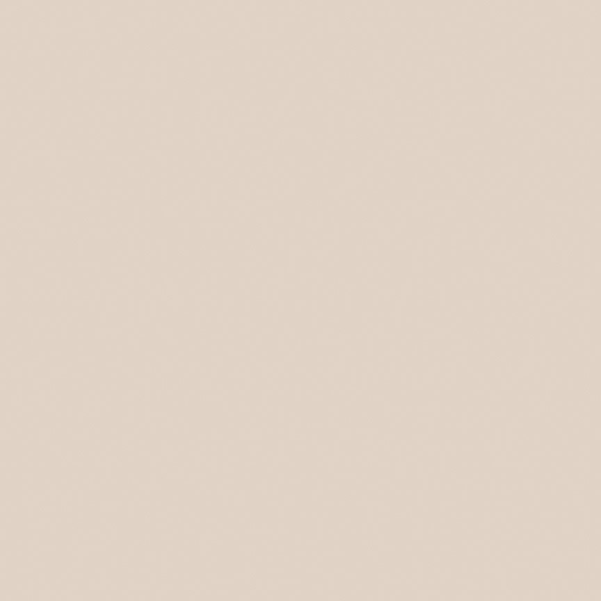 Riley Blake Confetti Cotton Latte solid quilting fabric