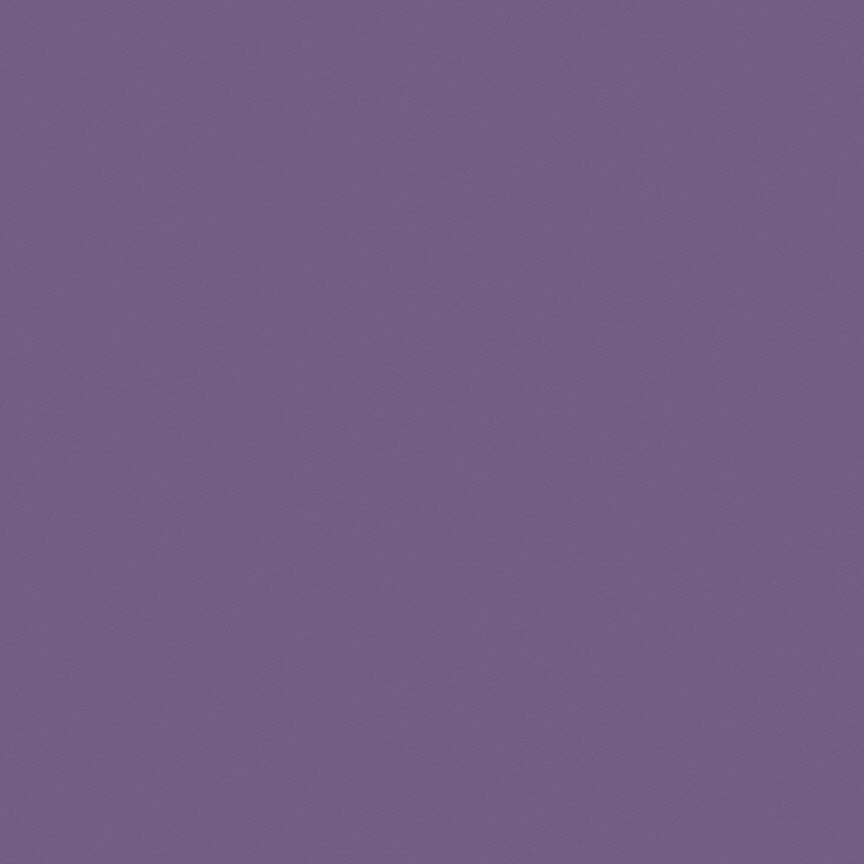 Riley Blake Confetti Cotton Plum solid quilting fabric