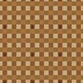 Friends of Smokey Bear Buffalo Check Sienna Fabric