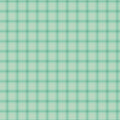 Southern Charm Gingham Mint Fabric