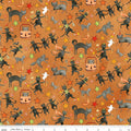 Spooky Cats Orange