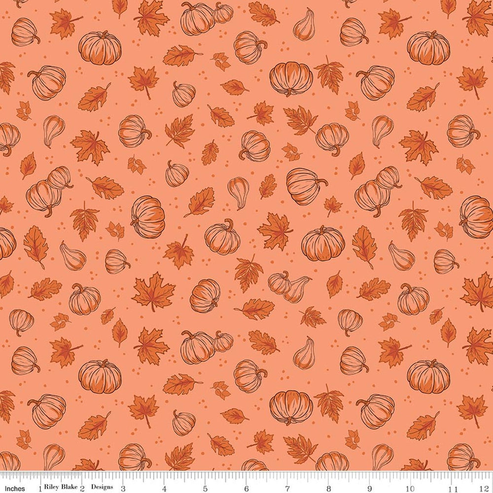 Cozy Autumn Pumpkins Melon by Beverly McCullough for Riley Blake Designs