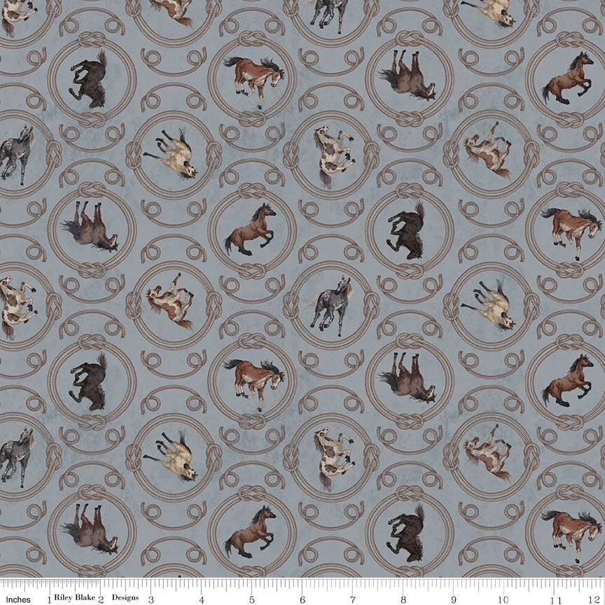 Horseshoe Creek Ropes Gray Fabric