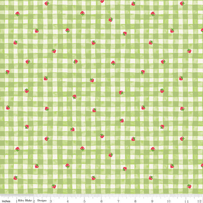The World of Strawberry Shortcake™ Gingham Green Fabric - By the yard