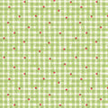 The World of Strawberry Shortcake™ Gingham Green Fabric