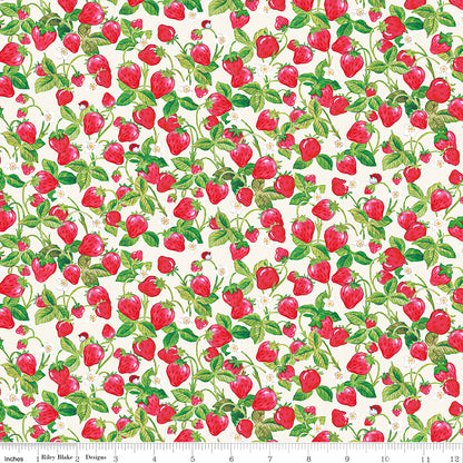 The World of Strawberry Shortcake™ Strawberries Cream Fabric - By the yard