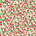 The World of Strawberry Shortcake™ Strawberries Cream Fabric
