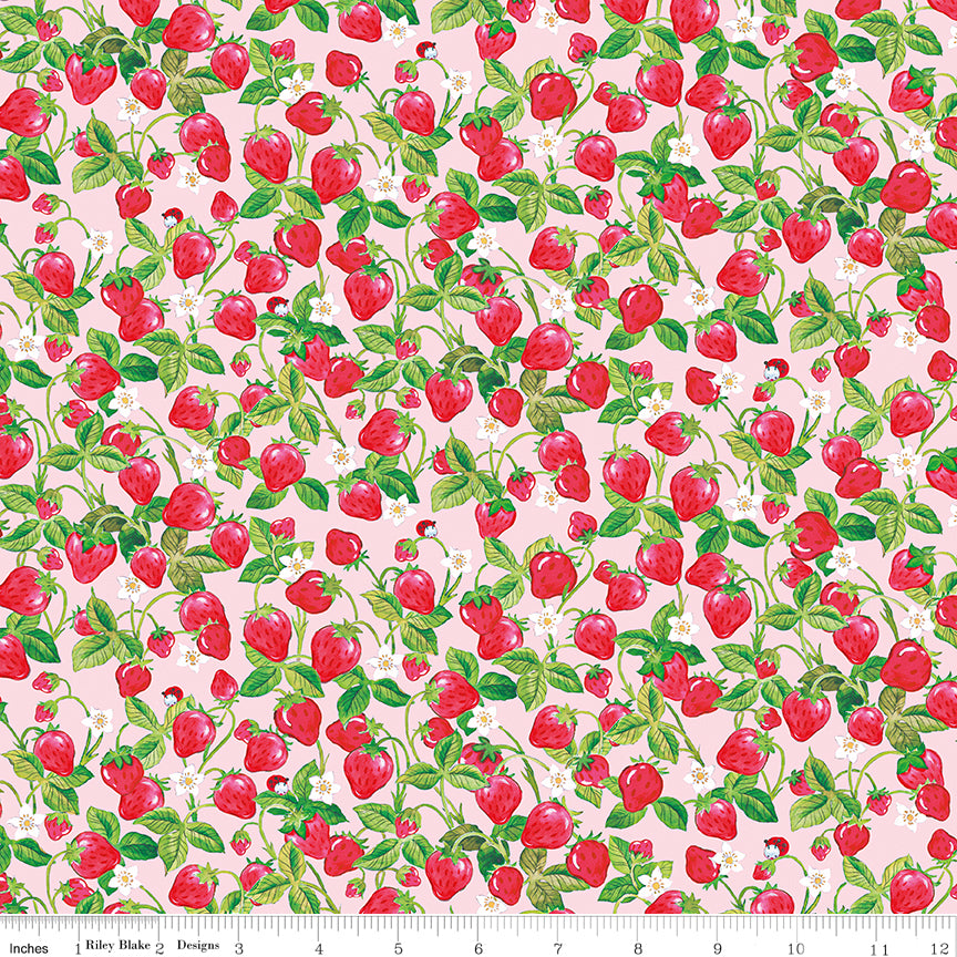 The World of Strawberry Shortcake™ Strawberries Pink Fabric