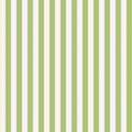 The World of Strawberry Shortcake™ Stripes Green Fabric
