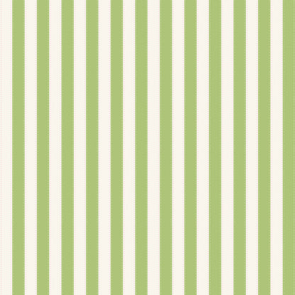 The World of Strawberry Shortcake™ Stripes Green Fabric - By the yard