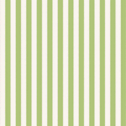The World of Strawberry Shortcake™ Stripes Green Fabric - By the yard