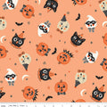 Vintage Boo Main Marmalade Fabric by My Mind’s Eye for Riley Blake Designs