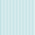 1/4" Stripe Aqua Fabric