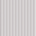 1/4" Stripe Gray Fabric