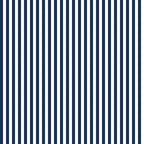 1/4" Stripe Navy Fabric