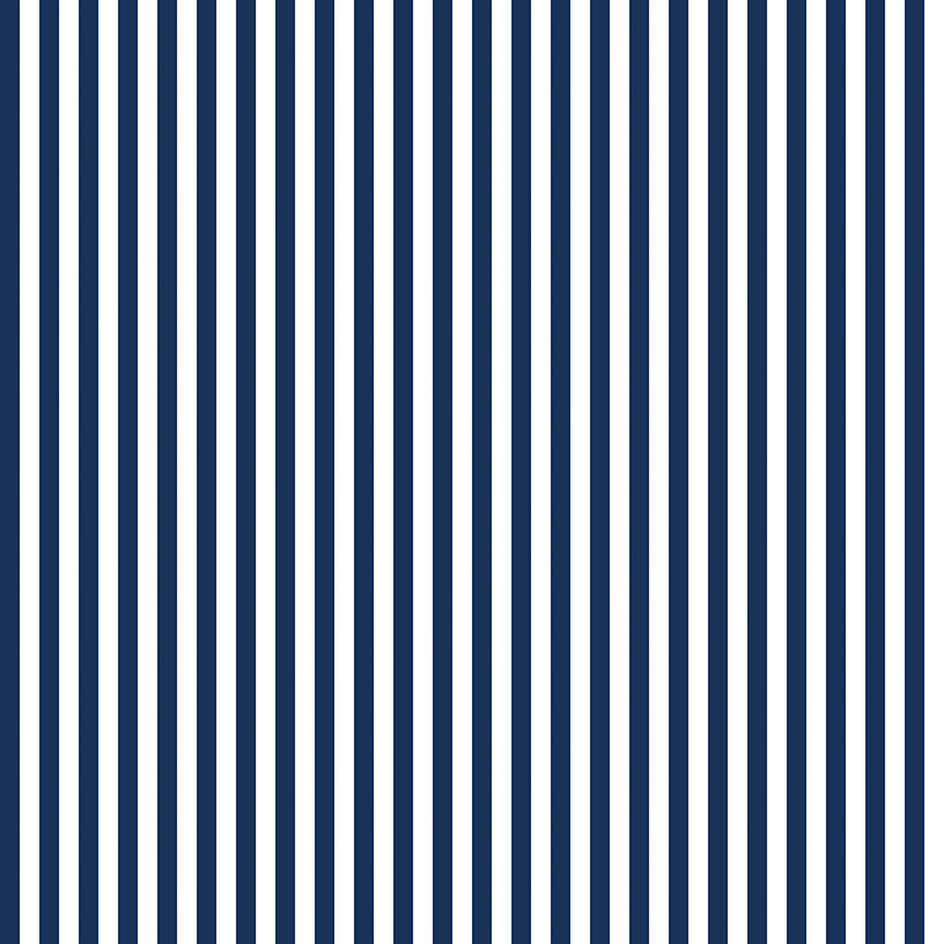 1/4" Stripe Navy Fabric