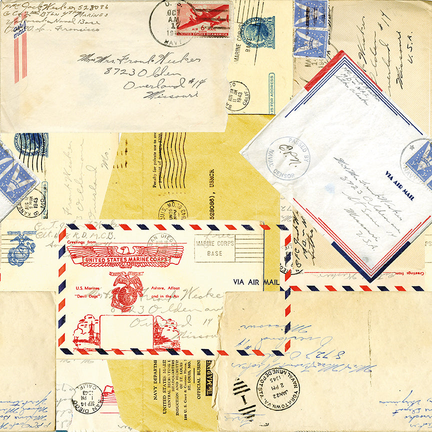 Sew America Posts Parchment Fabric