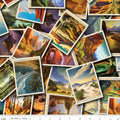 National Parks Postcard Toss Multi Fabric by Anderson Design Group for Riley Blake Designs
