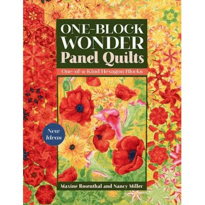 One-Block Wonder Panel Quilts Book