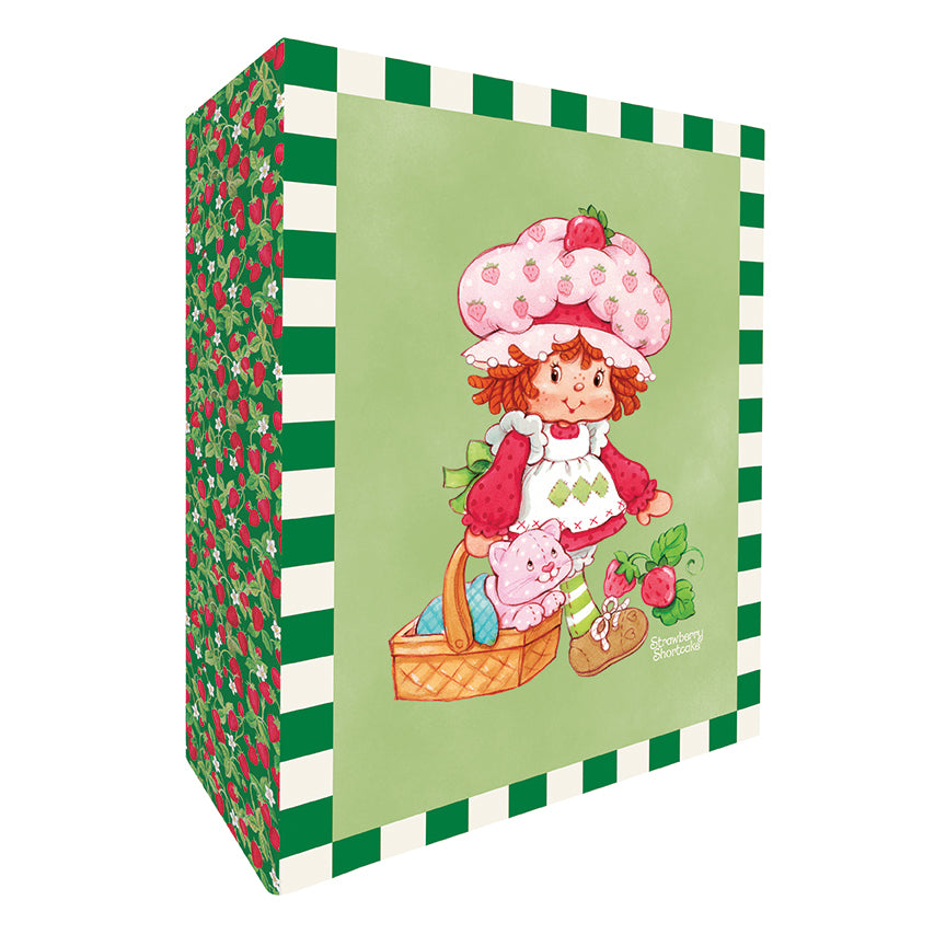 Strawberry Shortcake™ Panel Quilt Kit