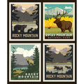 National Parks Rocky Mountains Pillow Fabric Panel