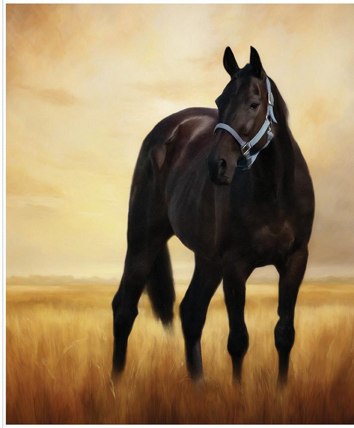 Horseshoe Creek Horse in the Meadow Fabric Panel