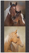 Horseshoe Creek Horses Fabric Panel #2