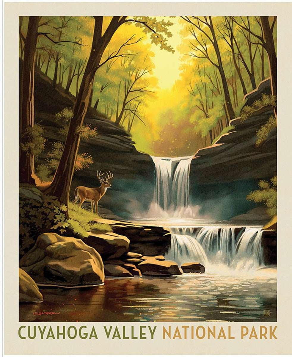 National Parks Cuyahoga Valley Poster Panel by Anderson Design Group for Riley Blake Designs