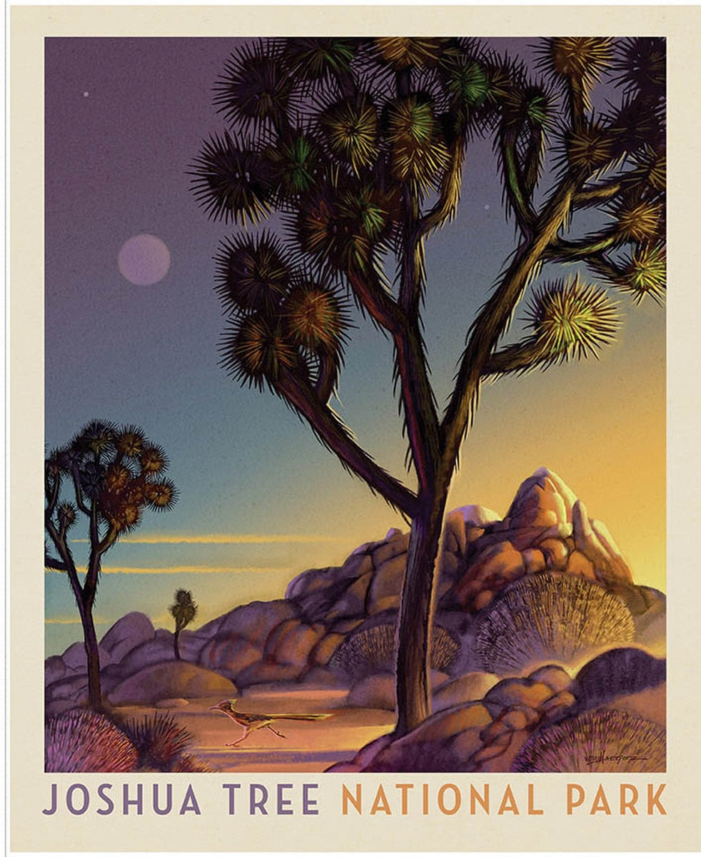 National Parks Joshua Tree Poster Panel by Anderson Design Group for Riley Blake Designs