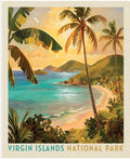 National Parks Virgin Islands Poster Panel by Anderson Design Group for Riley Blake Designs