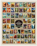 National Parks Wilderness & Wonder Panel by Anderson Design Group for Riley Blake Designs
