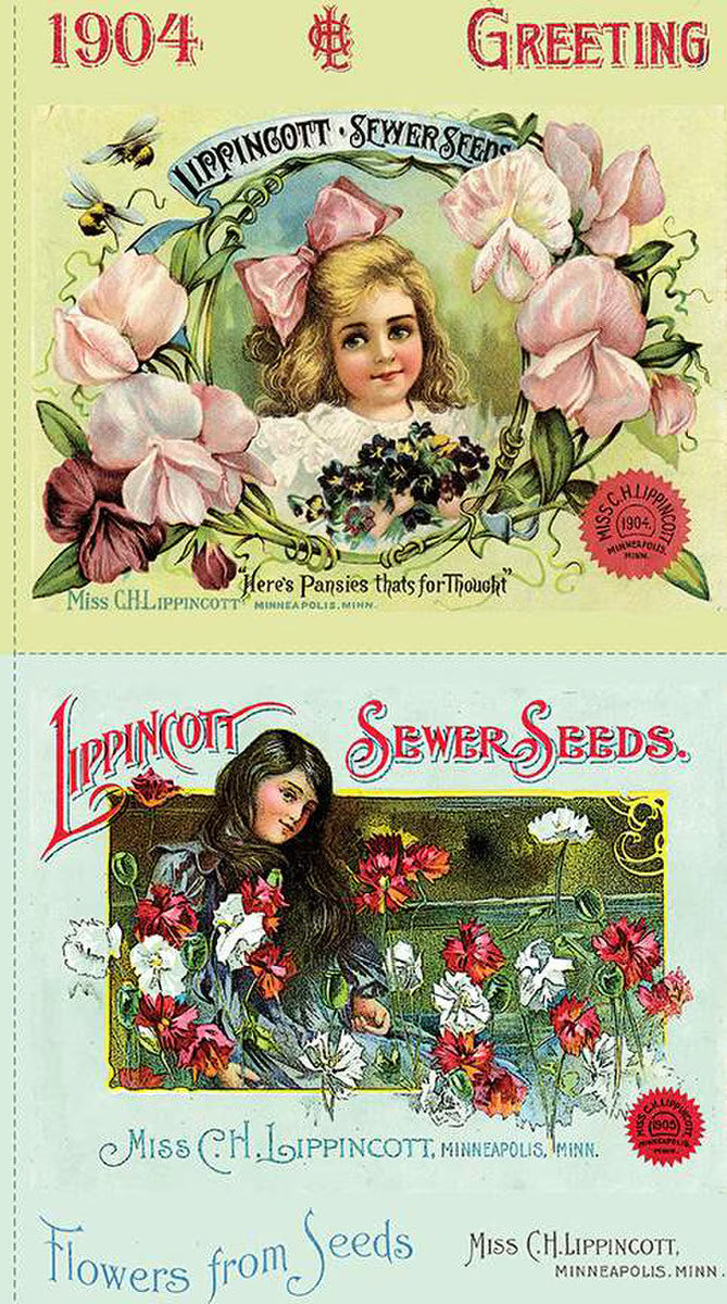 Sewing Seeds III Pillow Sham Fabric Panel 24"