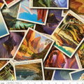 National Parks Postcard Toss Multi 108-Inch Wide Back Fabric by Anderson Design Group for Riley Blake Designs