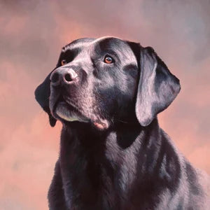 Black Lab Fabric Panel